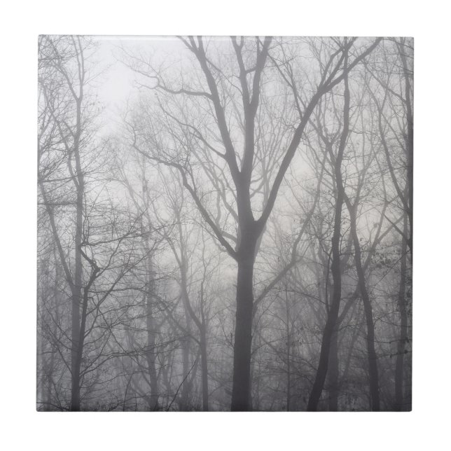 Misty Trees Gray Woodland Fliese (Vorderseite)