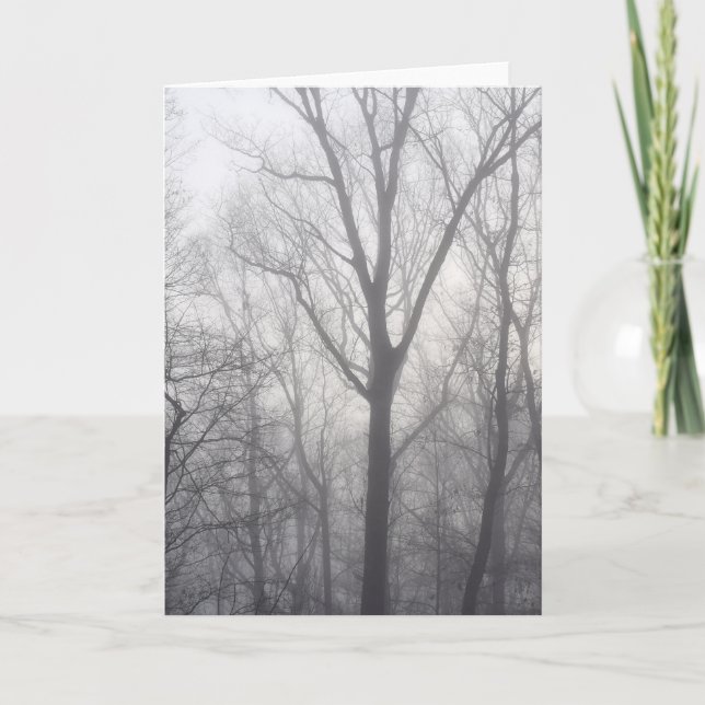Misty Trees Gray Woodland Karte (Vorderseite)