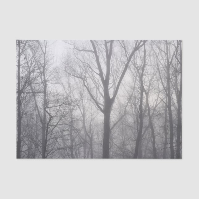 Misty Trees Gray Woodland Seidenpapier (Vorderseite)