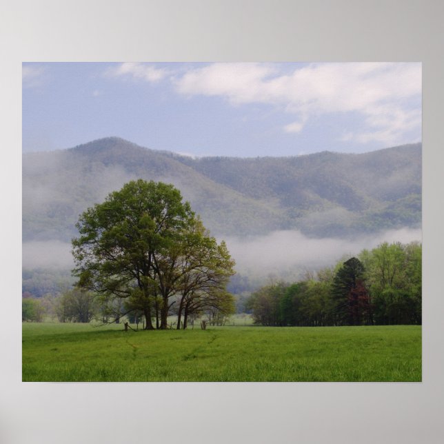 Misty Wiese and Rich Mountain, Cades Cove, Poster (Vorne)
