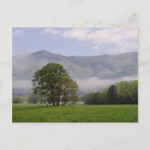 Misty Wiese and Rich Mountain, Cades Cove, Postkarte