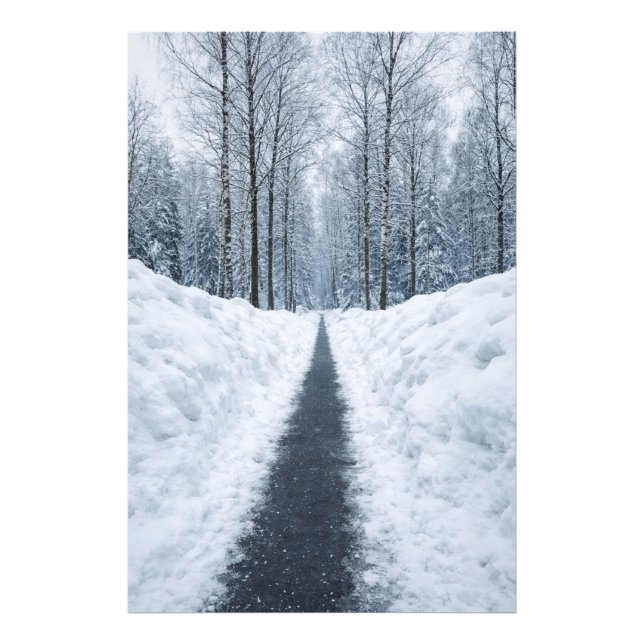 Misty Winter Forest Path Winter Landscape Poster (Vorne)