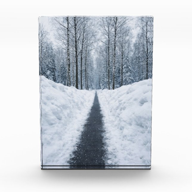 Misty Winter Forest Path Winter Landscape Poster Fotoblock (Vorderseite)