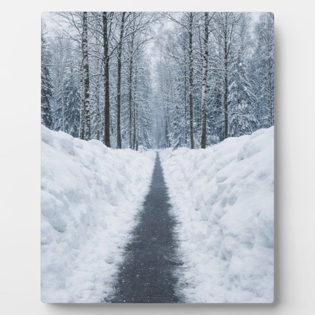 Misty Winter Forest Path Winter Landscape Poster Fotoplatte (Vorderseite)