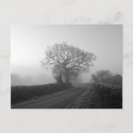 Misty Winter Morning: Cheshire, England Postkarte