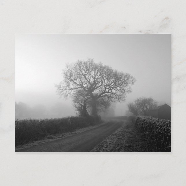 Misty Winter Morning: Cheshire, England Postkarte (Vorderseite)