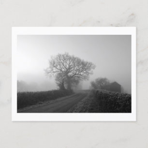 Misty Winter Morning: Cheshire, England Postkarte