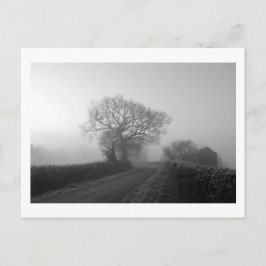 Misty Winter Morning: Cheshire, England Postkarte