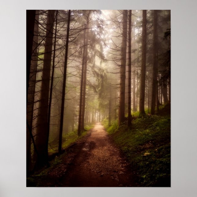 Misty Woodland Path Poster (Vorne)