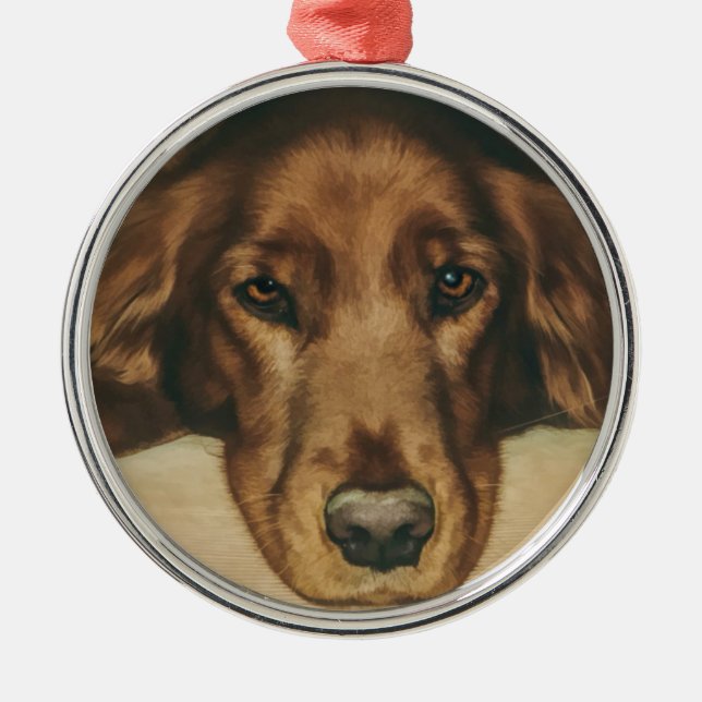 Mit Augen goldener irischer Hund Browns Silbernes Ornament (Vorne)