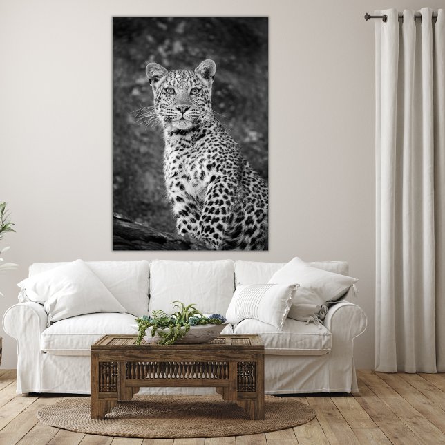 Mit Augen junger Leopard Leinwanddruck (Von Creator hochgeladen)