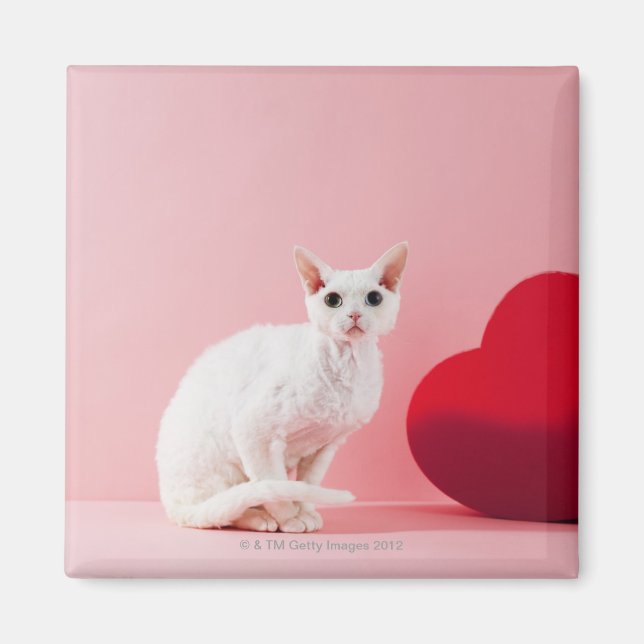 Mit Augen Katze Magnet (Vorne)