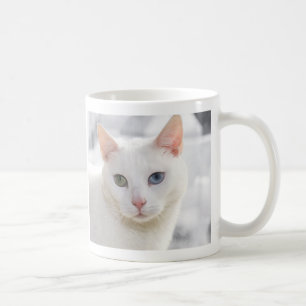 mit Augen Katze nah Tasse