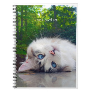 Mit Augen Katze Notizblock