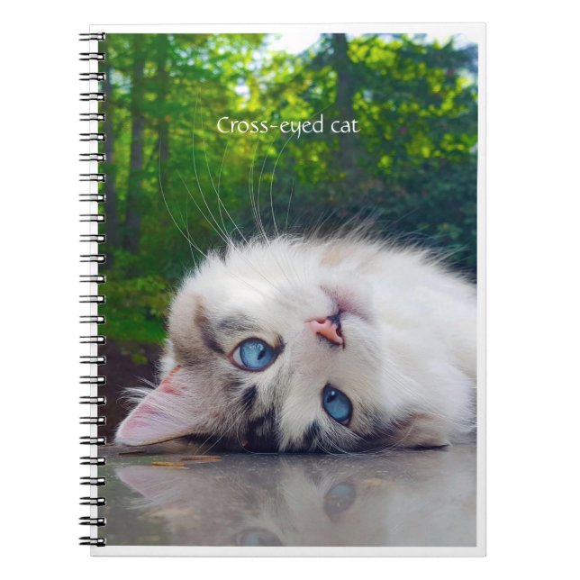 Mit Augen Katze Notizblock (Vorderseite)