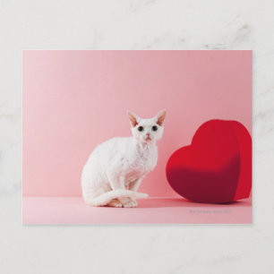Mit Augen Katze Postkarte