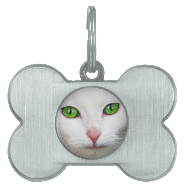 Mit Augen weiße Katze Tiermarke (Vorderseite)