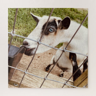 mit Augen Ziege Puzzle