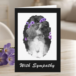 Mit Beileid Cavalier King Charles Card Karte