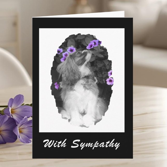 Mit Beileid Cavalier King Charles Card Karte (Von Creator hochgeladen)