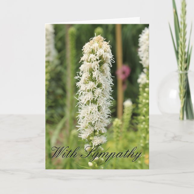 Mit Beileid White Blume Karte (Vorderseite)