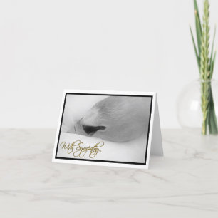 "Mit Beileids-" Karte