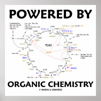 Mit Bio Chemie versorgt Krebs Cycle Spaß Poster