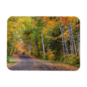 Mit Blättern übersäter Kiesweg mit Herbstfarben Magnet