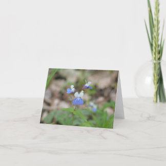 Mit blauen Augen Mary Notecard Karte