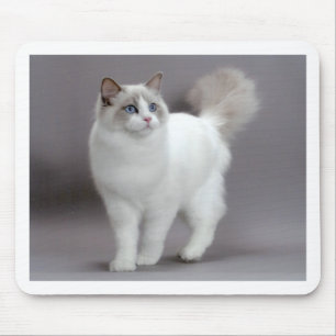Mit blauen Augen Ragdoll Katze Purfection Mousepad