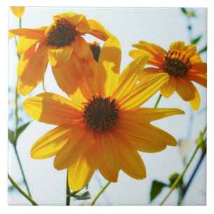 mit Blumen Fliese