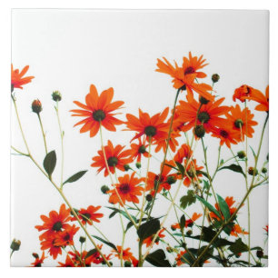 mit Blumen Fliese