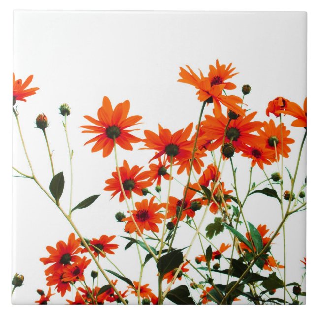 mit Blumen Fliese (Vorderseite)