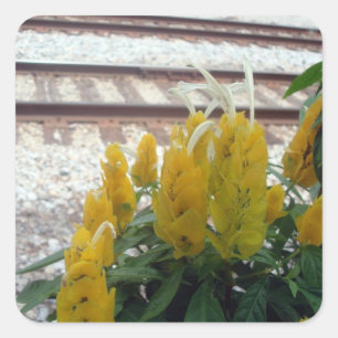 Mit dem Tracksticker Quadratischer Aufkleber