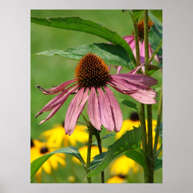 Mit dem Wachsen des Gartens Poster (Vorne)