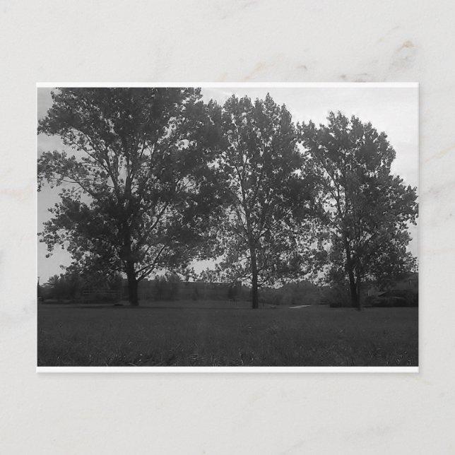 Mit dem Wind wachsende Naturdreifelchen Postkarte (Vorderseite)