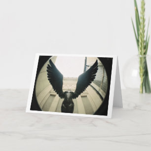 Mit den breiten Flügeln öffnen Sie sich… Karte