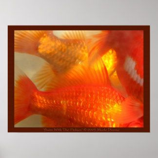 Mit den Fishien schwimmen Poster