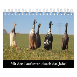 Mit den Laufenten durch das Jahr! Kalender