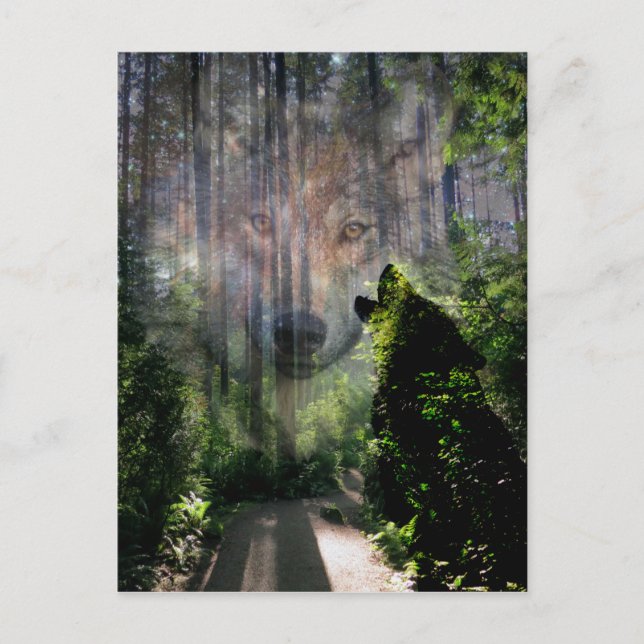 Mit den Wölfen verschwunden Postkarte (Vorderseite)