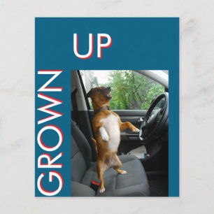 Mit diesem schlanken Birt feiert man 18 Jahre im S Flyer