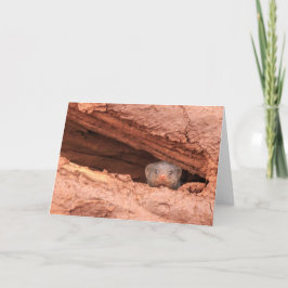 Mit einem Band versehener Mungo, Tansania Feiertagskarte