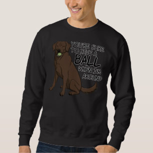 mit einem kleinen Schokolade-Labrador Sweatshirt