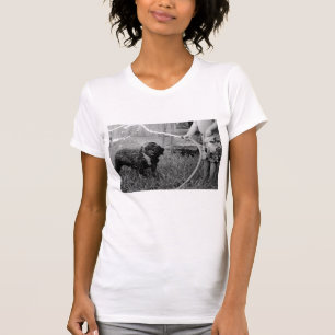 Mit einem Schlauch bespritzt T-Shirt