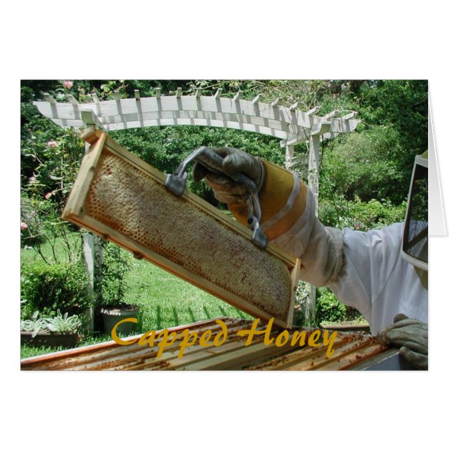 Mit einer Kappe bedeckter Honig (Vorderseite (Horizontal))