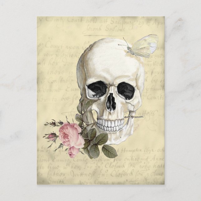 Mit einer Rose zwischen meinen Zähnen Postkarte (Vorderseite)