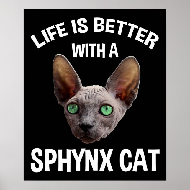 Mit einer Sphynxkatze ist das Leben besser Poster (Vorne)