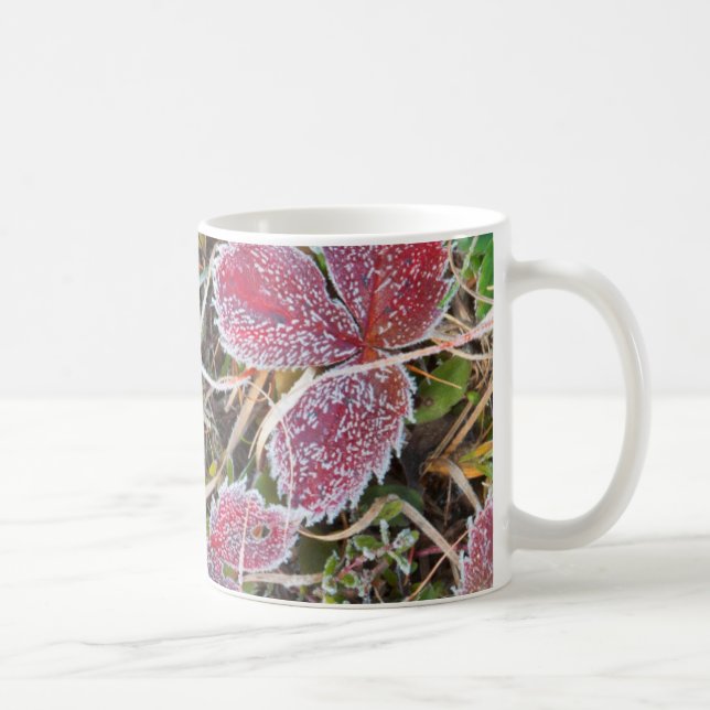 Mit Frost bedeckte Blätter, Kanada Kaffeetasse (Rechts)