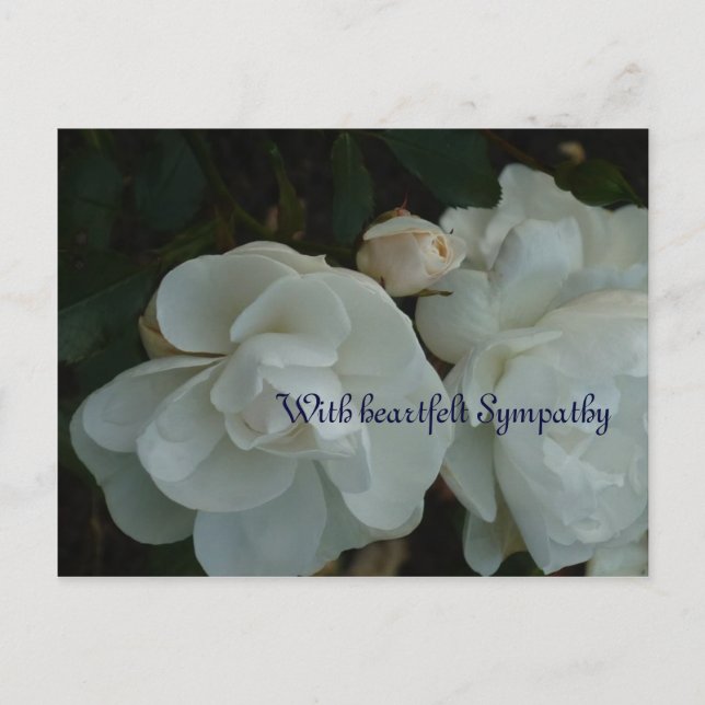 Mit herzlichem Beileid - Beileidskarte Postkarte (Vorderseite)