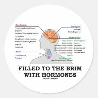 Mit Hormonen (Anatomie) bis zur Spitze gefüllt Runder Aufkleber